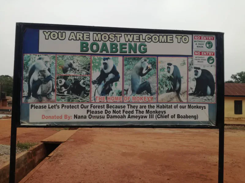 Information board at Boabeng encouraging protection of the forest and monkeys