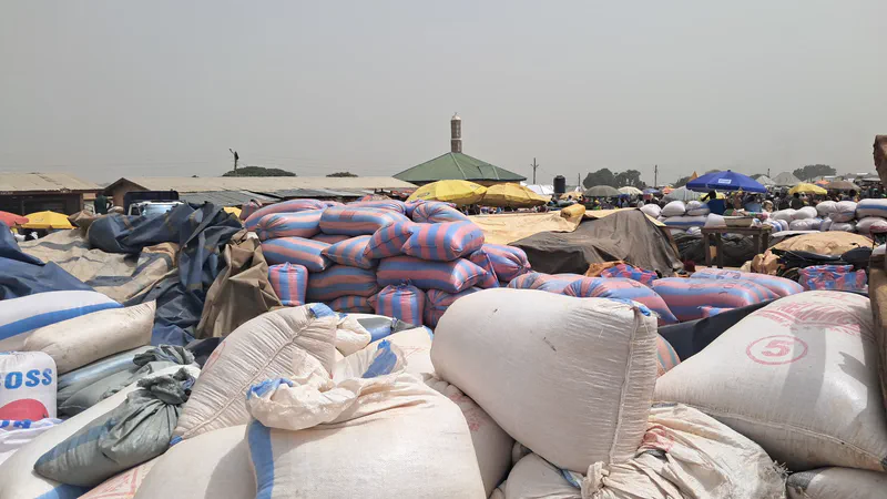 large sacks of harvested maize