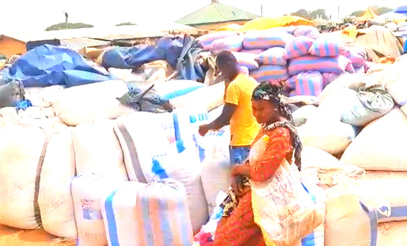 large sacks of harvested maize