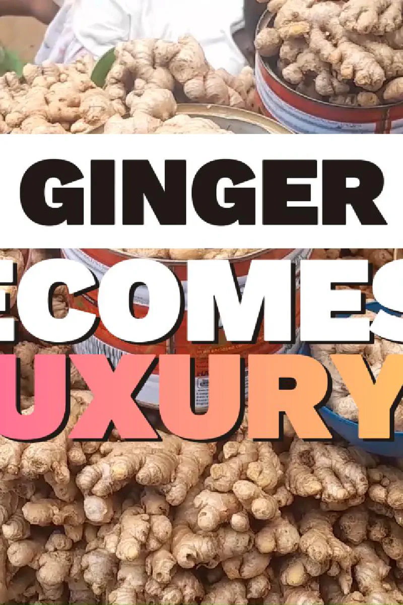 From Kitchen Staple to Luxury Spice: Ginger Price Hike Bites Hard on Businesses, Households