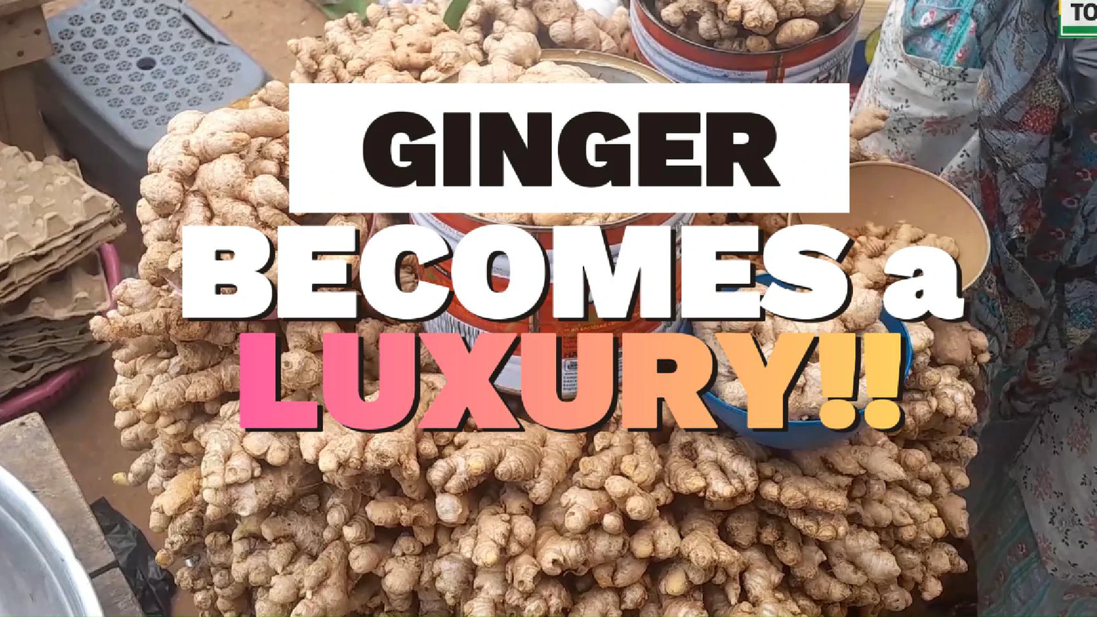 From Kitchen Staple to Luxury Spice: Ginger Price Hike Bites Hard on Businesses, Households