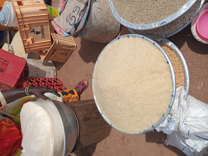 rice