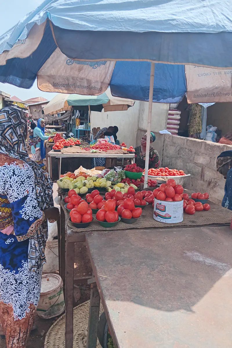 Rising Food Prices Deepen Hardship for Traders and Consumers at Tamale Main Market