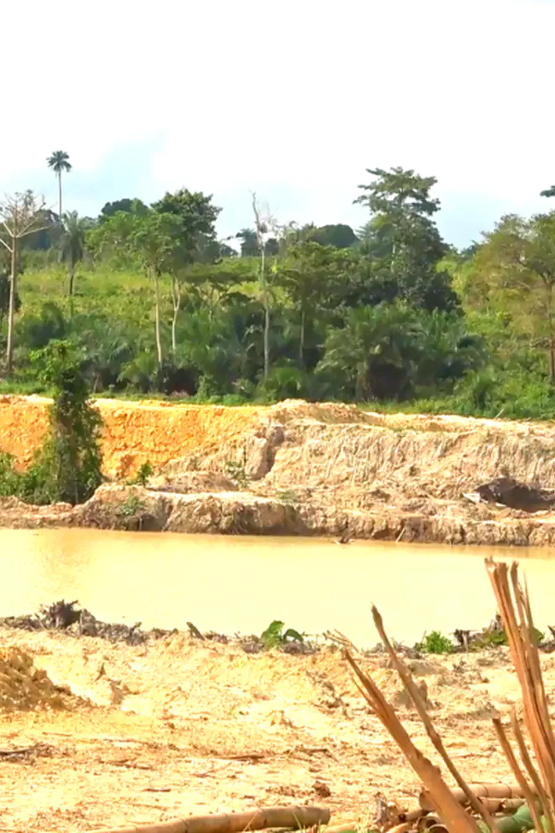 Tano River Under Siege: Galamsey's Deadly Toll on Water and Ecosystems