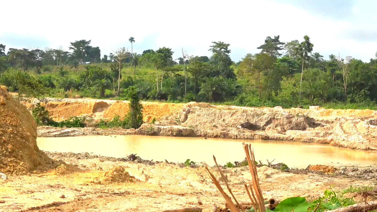 Tano River Under Siege: Galamsey's Deadly Toll on Water and Ecosystems