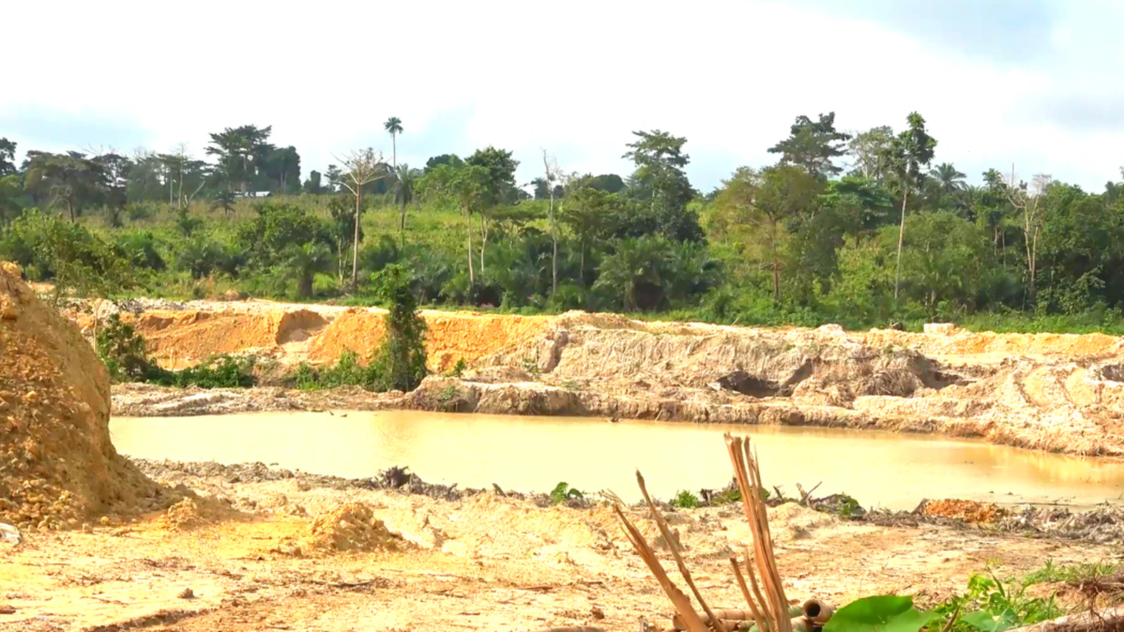 Tano River Under Siege: Galamsey's Deadly Toll on Water and Ecosystems